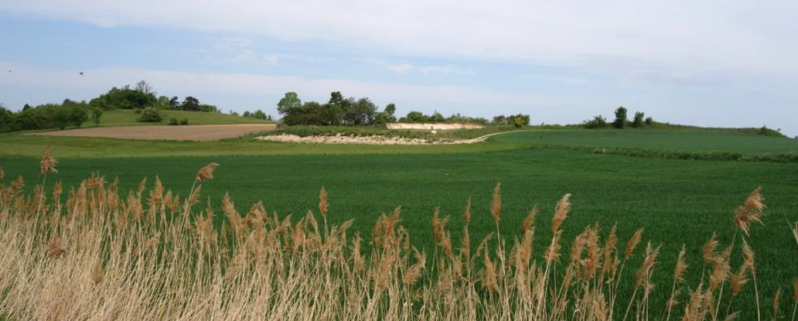 Landschaftsfläche, die für die PV-Anlage genutzt werden soll 