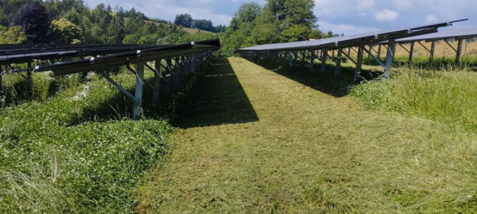 Seitenansicht von PV-Modulen auf einer Wiese in der Gemeinde Lichtenegg